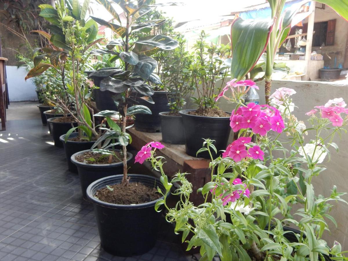 Vang Vieng Camellia Hotel מראה חיצוני תמונה